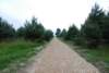 dsc_0194_small.jpg