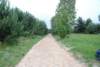 dsc_0196_small.jpg