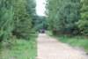 dsc_0197_small.jpg