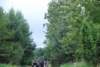 dsc_0202_small.jpg