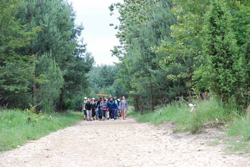 dsc_0203.jpg