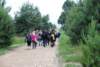 dsc_0243_small.jpg