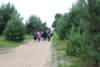 dsc_0244_small.jpg
