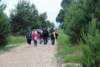 dsc_0245_small.jpg