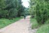 dsc_0247_small.jpg