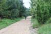 dsc_0248_small.jpg