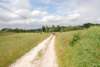 dsc_0301_small.jpg