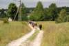 dsc_0302_small.jpg