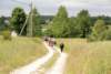 dsc_0303_small.jpg