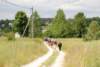 dsc_0304_small.jpg