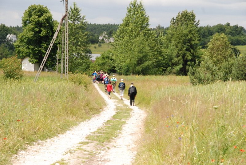 dsc_0305.jpg