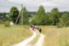 dsc_0306_small.jpg