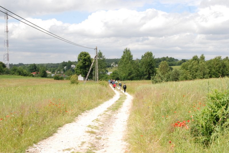 dsc_0309.jpg