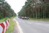 dsc_0375_small.jpg