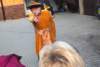 dsc_0384_small.jpg