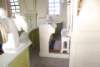 dsc_0444_small.jpg