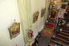 dsc_0447_small.jpg