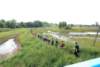 dsc_0476_small.jpg