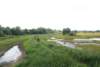 dsc_0486_small.jpg