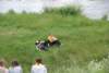 dsc_0495_small.jpg
