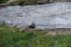dsc_0512_small.jpg