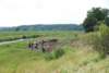 dsc_0523_small.jpg