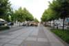 dsc_0579_small.jpg