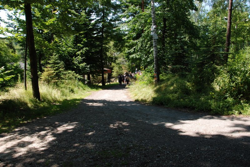 dsc_0081.jpg