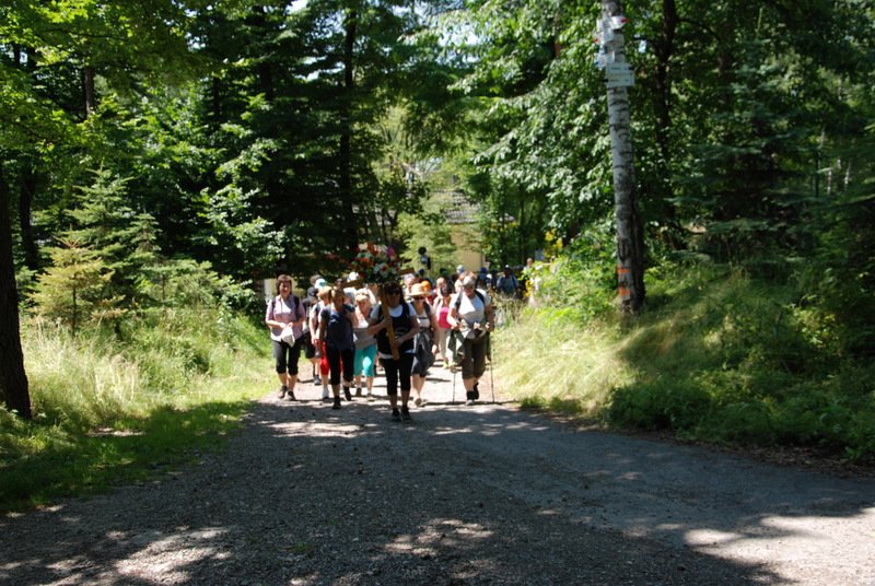dsc_0085.jpg