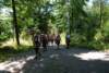 dsc_0087_small.jpg