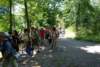 dsc_0095_small.jpg