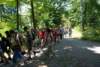 dsc_0096_small.jpg