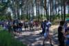 dsc_0162_small.jpg