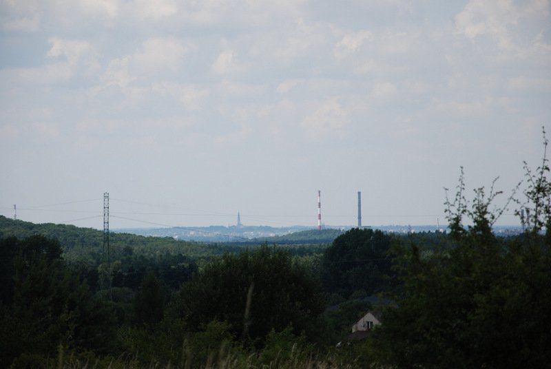 dsc_0617.jpg