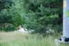 dsc_0625_small.jpg