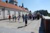 dsc_0716_small.jpg