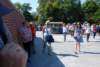 dsc_0729_small.jpg