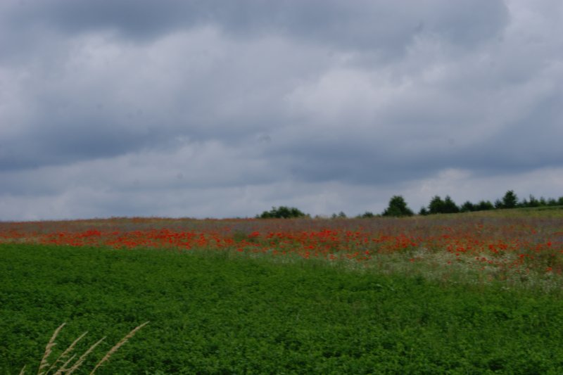 dsc03824.jpg