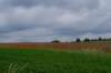 dsc03824_small.jpg