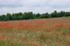 dsc03830_small.jpg