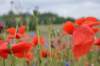 dsc03833_small.jpg