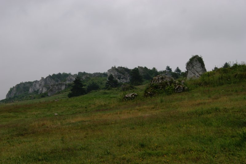dsc03893.jpg
