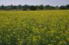 dsc03920_small.jpg