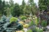 dsc03941_small.jpg