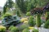 dsc03942_small.jpg