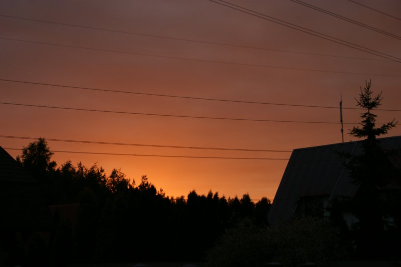 dsc04113.jpg