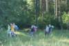 dsc04216_small.jpg