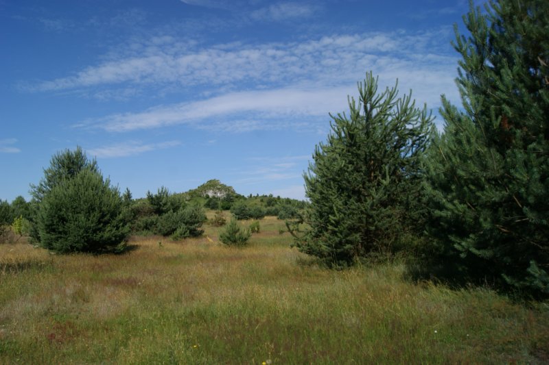dsc04221.jpg