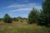 dsc04221_small.jpg