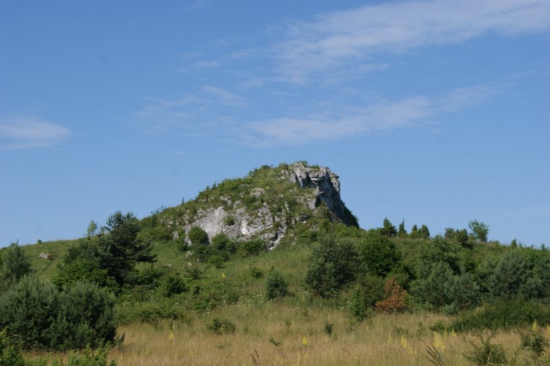 dsc04223.jpg